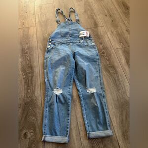 Celebrity pink Blue Denim Overalls
